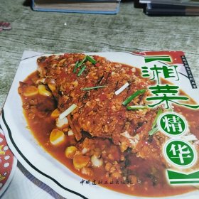 湘菜精华（教您学做名菜系列丛书）