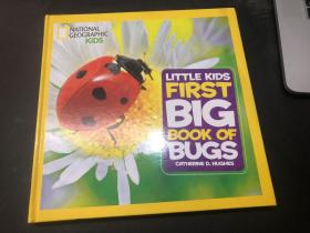 Little Kids First Big Book of Bugs