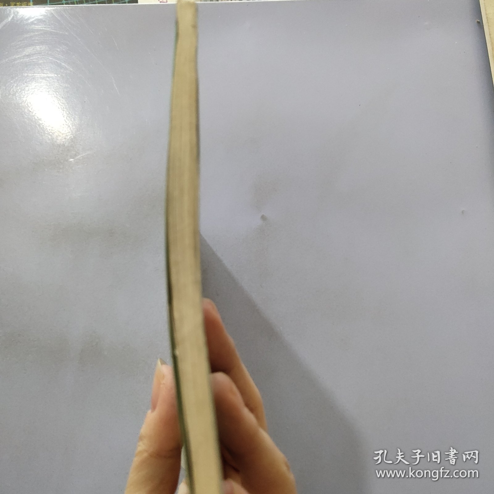 三峡百万移民出路何在?:来自库区的长篇报告