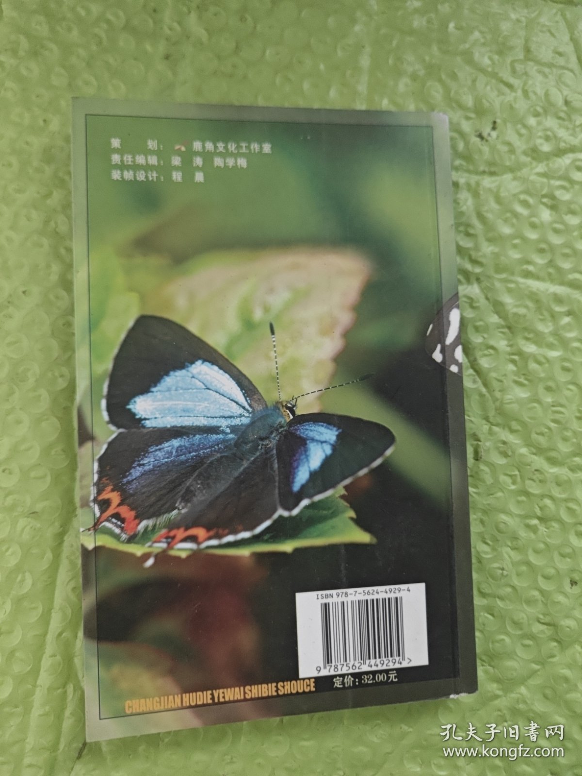 常见蝴蝶野外识别手册（第2版）