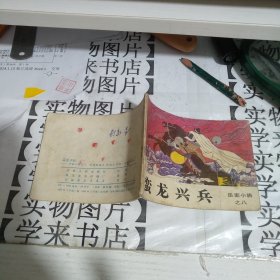 连环画蛮龙兴兵岳家小将之八 恒4