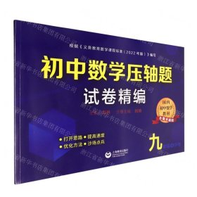 初中数学压轴题试卷精编（九年级＋中考）