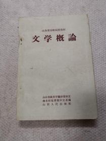 山东省高师函授教材《文学概论》