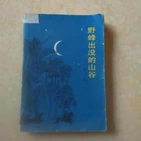 野蜂出没的山谷