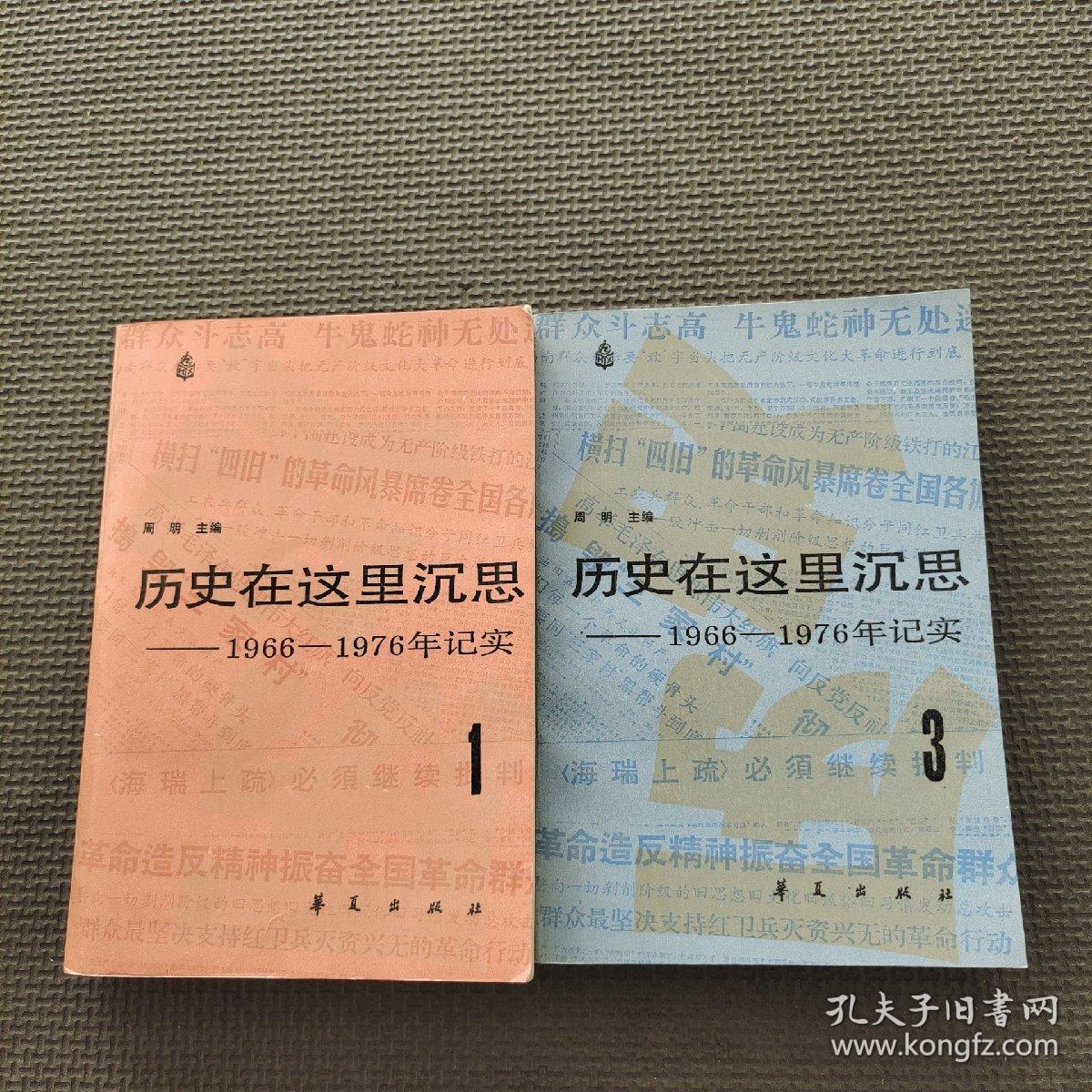 历史在这里沉思1966-1976年记实1  3