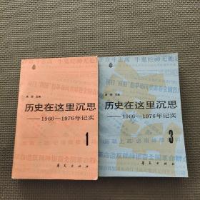 历史在这里沉思1966-1976年记实1  3