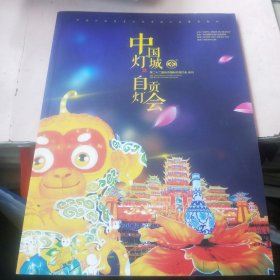 中国灯城自贡灯会