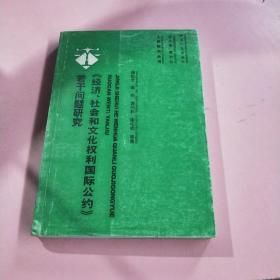 《经济、社会和文化权利国际公约》若干问题研究