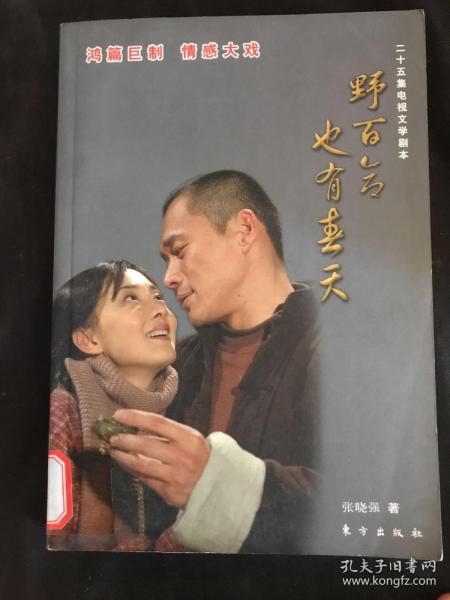 野百合也有春天（25集电视文学剧本）