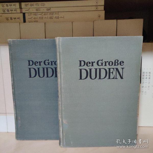 Der große Duden/der grosse Duden/der grobe Duden（4-5） 大杜登德语辞典精装 字典十卷本 第三、四卷