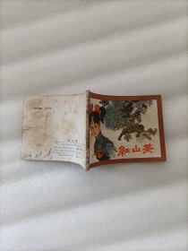 红山茶 连环画
