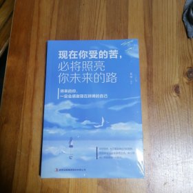 现在你受的苦，必将照亮你未来的路