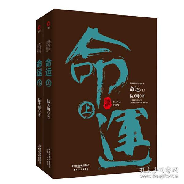 陆天明当代作品精选：命运（套装全2册）