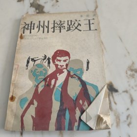 神州摔跤王