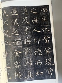 历代名碑名帖实临丛书 翁志飞实临解析雁塔圣教序
