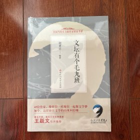 文坛有个毛九班/中国当代实力派作家精品书系