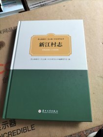新江村志