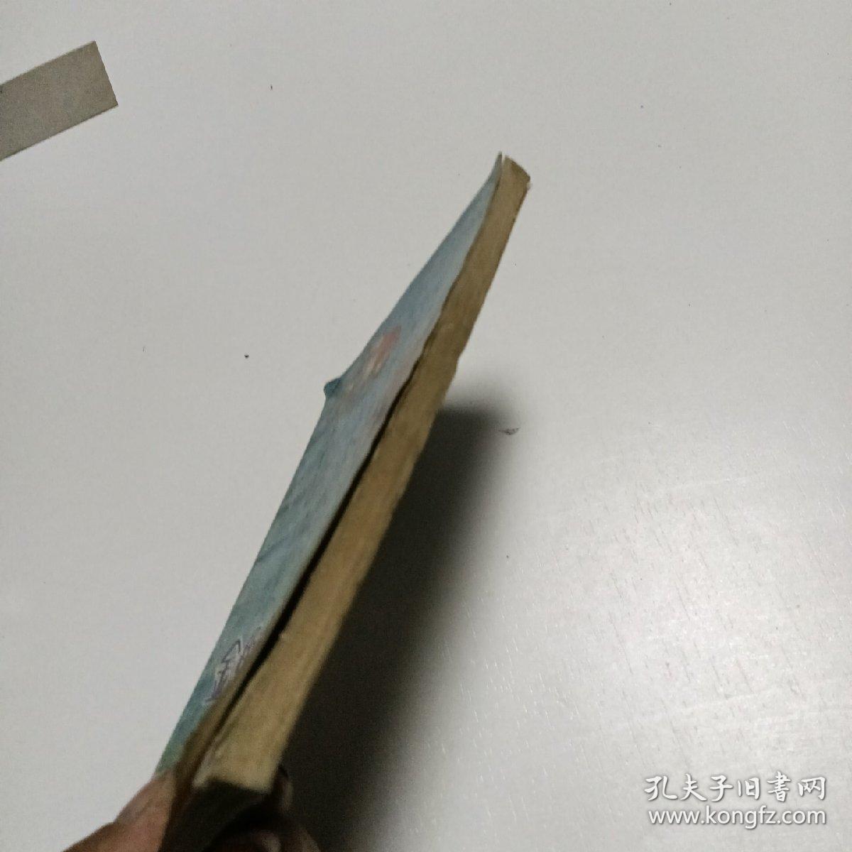 金鱼锦鲤热带鱼