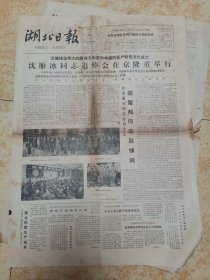 湖北日报1981年4月12