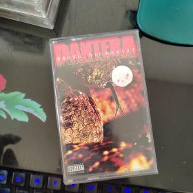 磁带PANTERA
9区