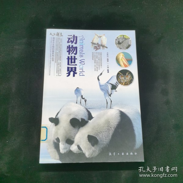 动物世界