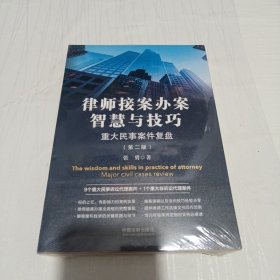 律师接案办案智慧与技巧：重大民事案件复盘（第二版）