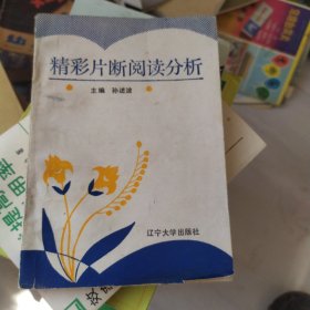 ，精彩片断阅读分析，