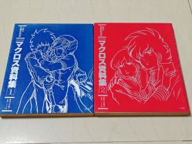 超时空要塞资料集1+2 macross 设定集 原画集 设定资料集 公式书 太空堡垒