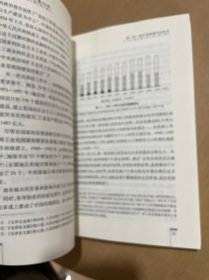 新中国城镇化发展70年（新中国经济发展70年丛书）