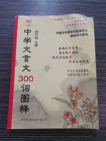 中国文字研究与应用中心推荐学习用书：中学文言文300词图释