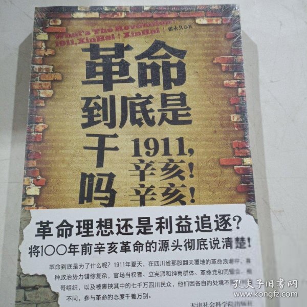 革命到底是干吗？：1911，辛亥！辛亥！