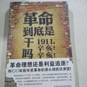 革命到底是干吗？：1911，辛亥！辛亥！