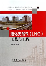 液化天然气（LNG）工艺与工程