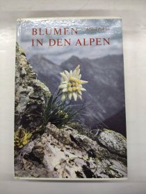 BLUMEN IN DEN ALPEN