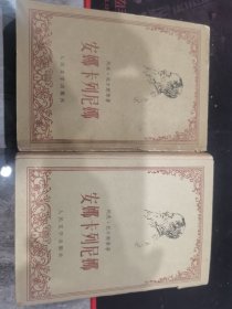 安娜·卡列尼娜（全两册）