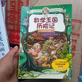 地下城数学王国历险记 6本合售(魔镜与钥匙 龙兄勇闯古堡 下下城里的秘密 荣耀石的重生 地下河道里的怪邻居 小小虫大智慧)