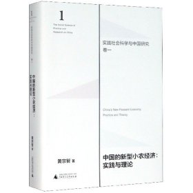 中国的新型小农经济：实践与理论（实践社会科学与中国研究·卷一）