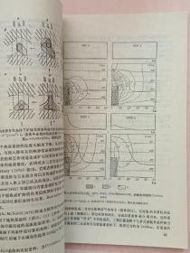 内生成矿建造成因模式【1990年1版1印】