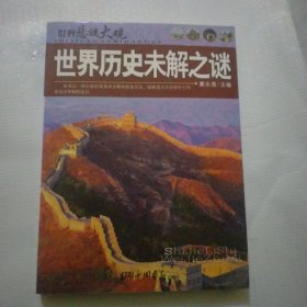 世界悬谜大观：世界历史未解之谜