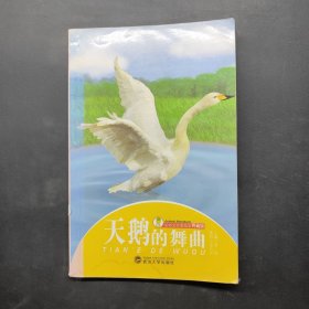 天鹅的舞曲