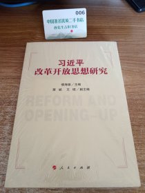 习近平改革开放思想研究