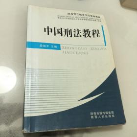 中国刑法教程