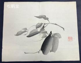 《花卉》1组5件合售，日本老旧版画，木版水印，有实钤印款，“华顶”款，单色墨刷，墨色浓淡得体，轮廓清晰，版面素雅优美，画工，印工均一流，颇有年头之物。