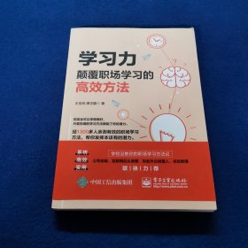 学习力：颠覆职场学习的高效方法