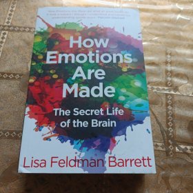 How Emotions Are Made Paperback – January 1, 2018 by Lisa Barrett (Author)
