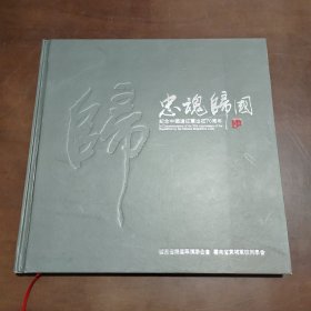 忠魂归国：纪念中国远征军70周年