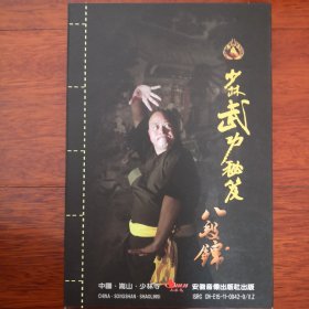 少林武功秘笈  八段锦（带光盘）