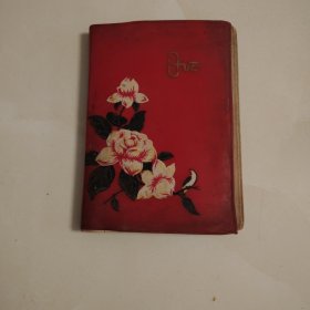 日记(日记本)
