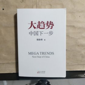 大趋势 中国下一步