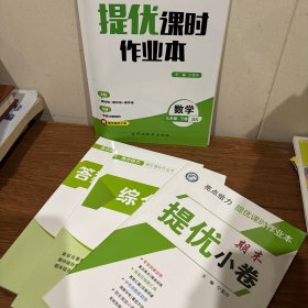 亮点给力提优课时作业本 九下 数学